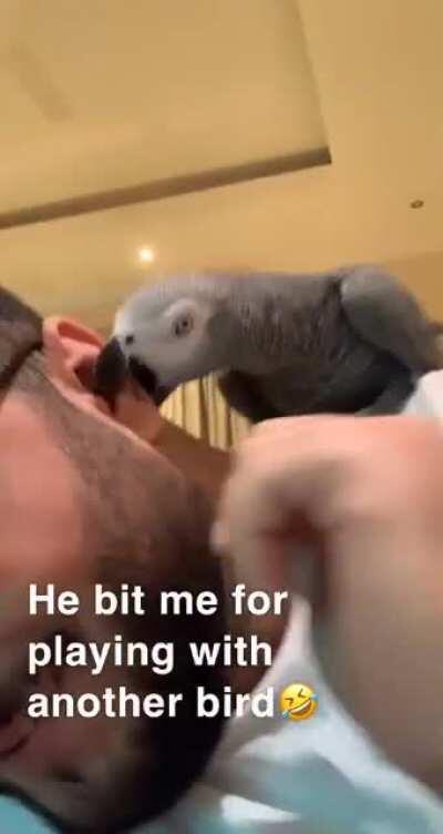 Someone got a little jealous