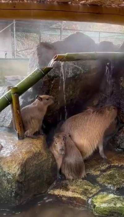 wunkus won't be pulling up anymore