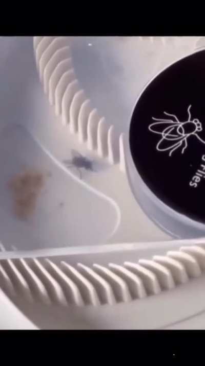 Its time is at an end