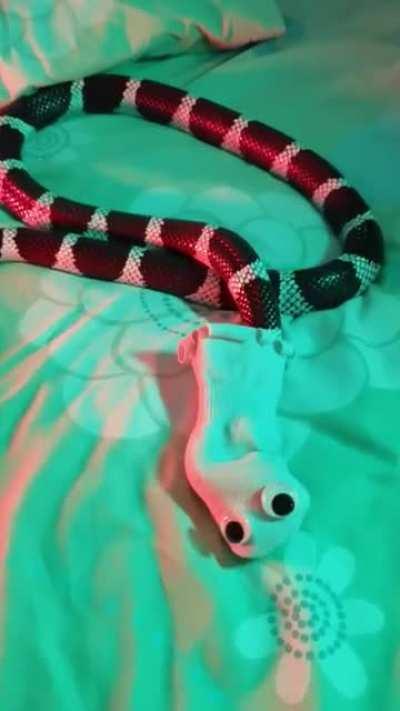 Dressed up as a ssspooky ghost for Halloween