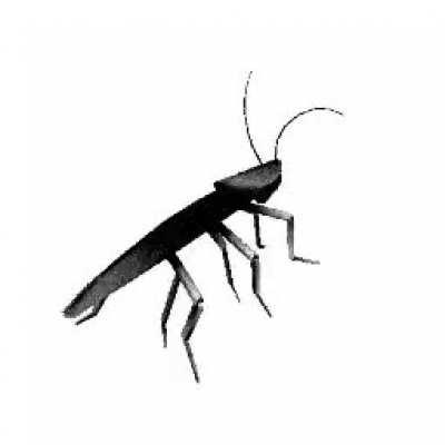 Archiving moving profpics p13 Roach edition 1