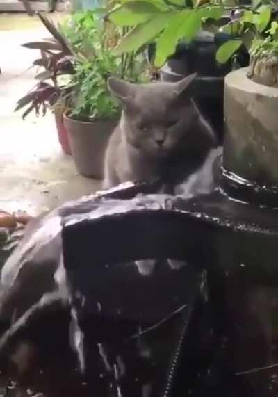 To have a drink of water