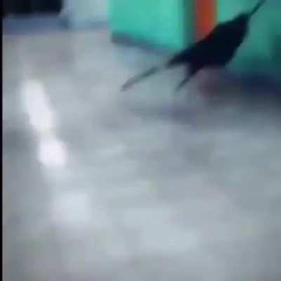 I did not expect that