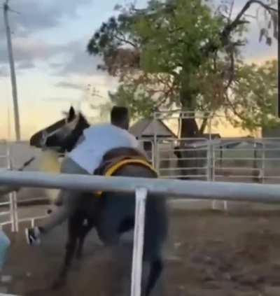 Horse freaks out and bro's life flashed before his eyes.