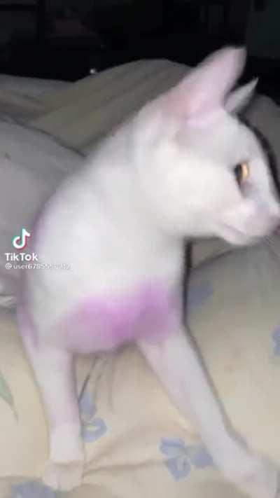 LET ME FUCKING POST HOLY SHIT THE VIDEO PLAYER IS ASS