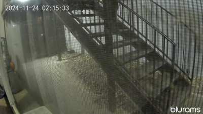 Neighbor who I've Never Spoken to Before