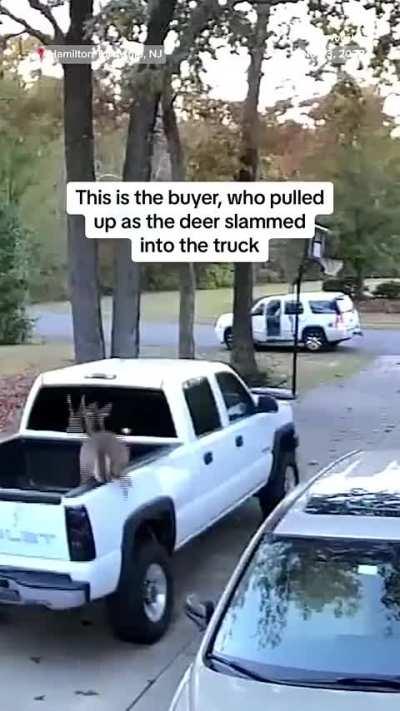 What are the chances