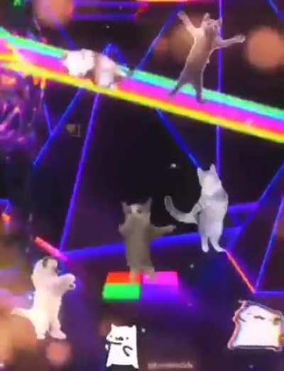 Day what I am I doing?