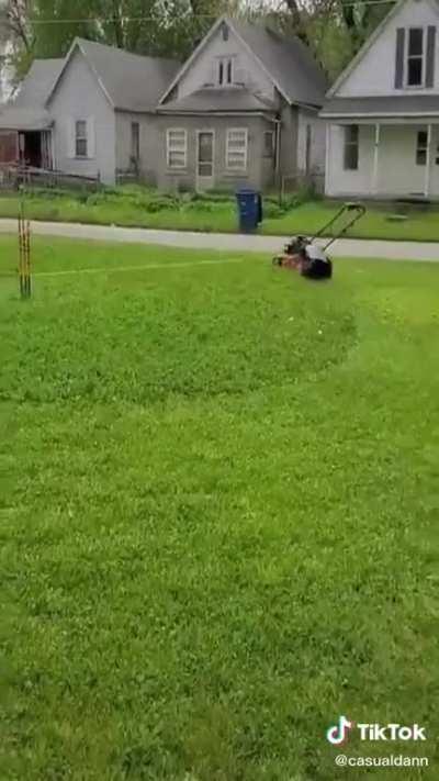 Never cutting my own lawn again