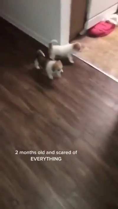 maybe a bit dramatic