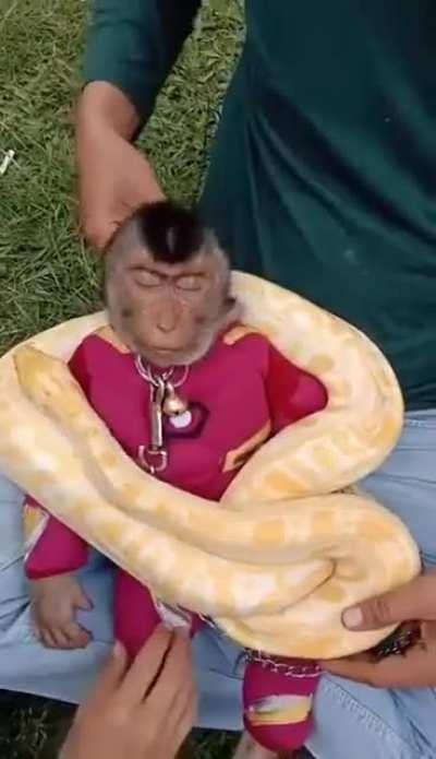 funy0001111@gmail.com