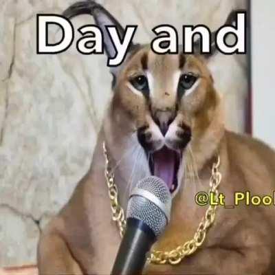 Class Big Floppa 😉👍