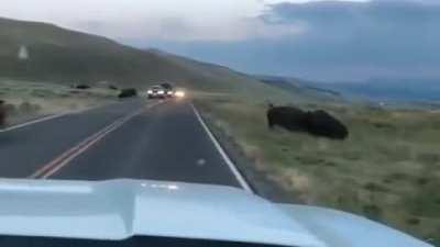 🔥 Now imagine what he could do to your little sedan.