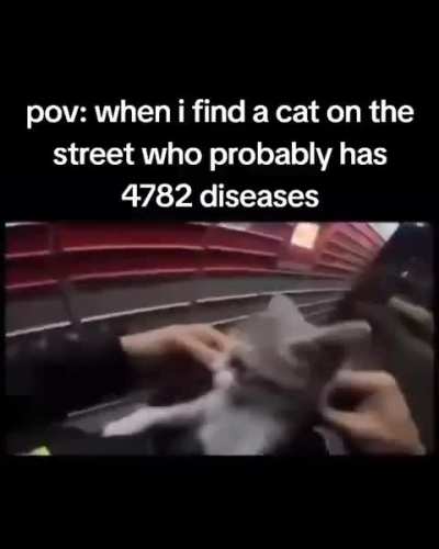 WTD (wunkual transmitted disease)