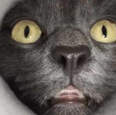 There's definitely something delicious here!