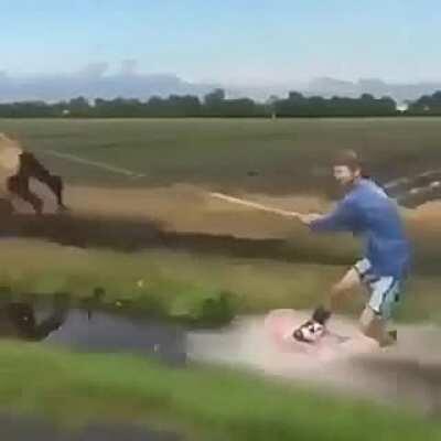 One-Horse Power Is Actually Fast. (giddy up mutherfucker! Yeehaw!)