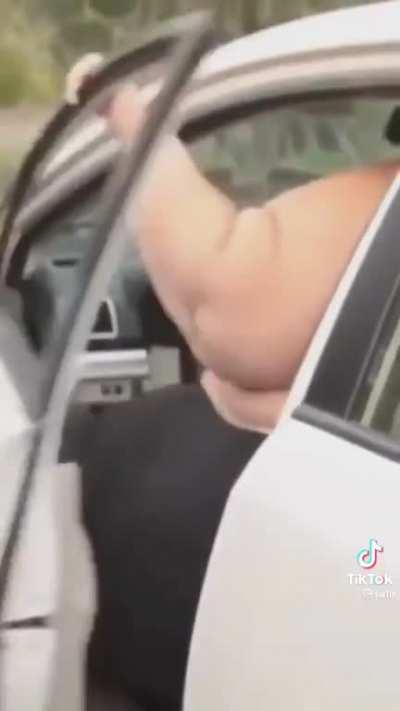 Trying to close car door