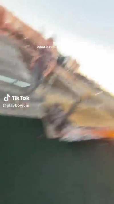 This guys whole tiktok is him littering and flicking the camera off