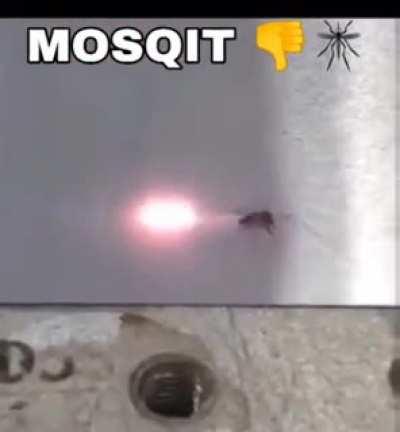 Mosqit 👎🦟