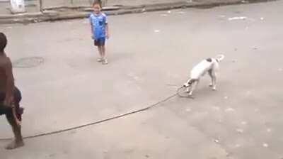 There is no other doggo like a Brazilian doggo