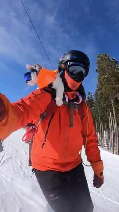 Proof Gary the Cat's Nakiska ski pass actually works, footage courtesy of his mysterious owner