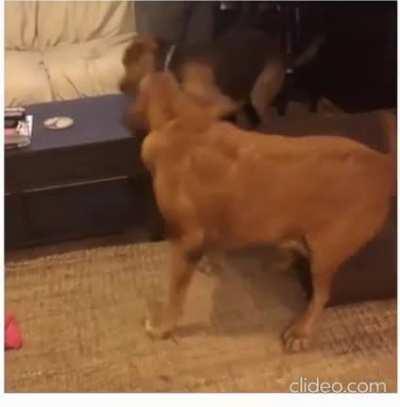 just stop it already