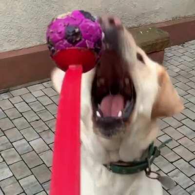 reminds me of Jaws, so I added the score