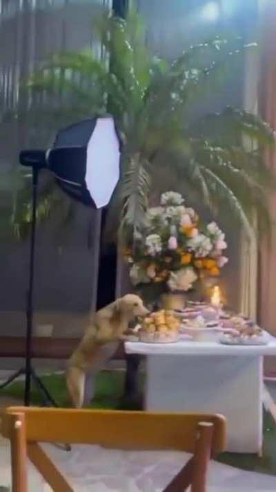 Celebration is for everyone