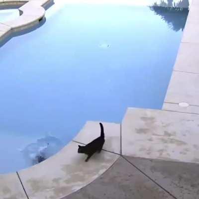 He just wanted say hey...