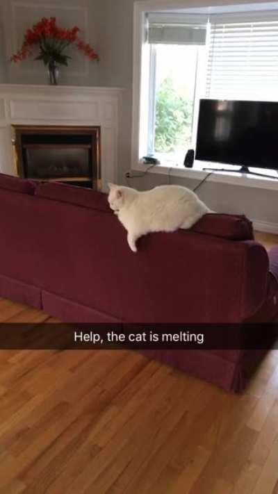 Chonk level: Ice cream