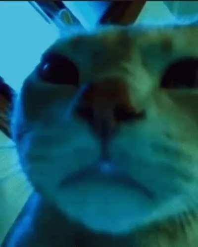 Browsing this subreddit tonight be like: