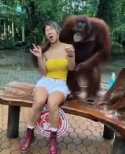 Monkey got moves