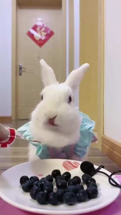 Sound 🔊 ON and enjoy😊