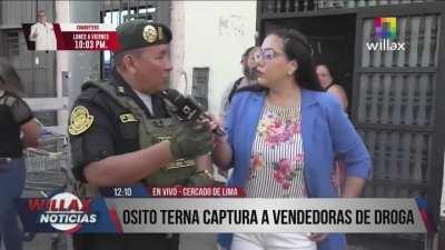 Osito atrapa narcos, eres mi nuevo ídolo