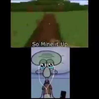 minecraft cant add inches to my pp