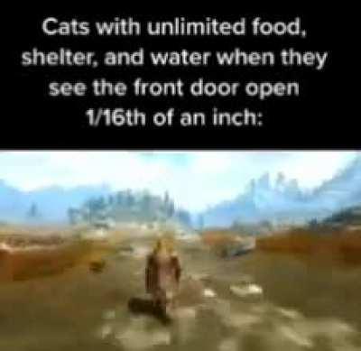 I'm 15 and this is yeet