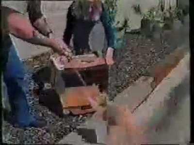 “Pinky is pet of the week “