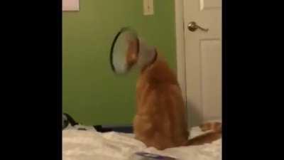 He just be vibin tho