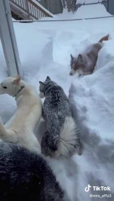 Ok guys don’t get lost