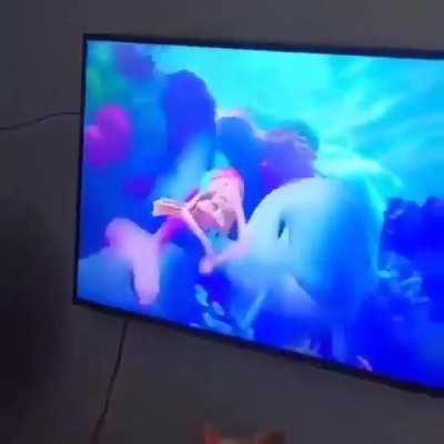 Filme de macho🎉😹😸😲🥺😱😲👹👹😲🥺😤😓🧡😿😸😓😓😿😠😻💢😞😡🥺🧡😿😠😲🥺😓😠