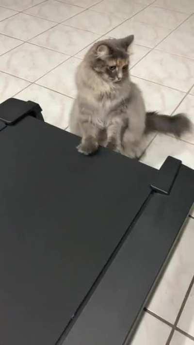 Touch tha treadmill