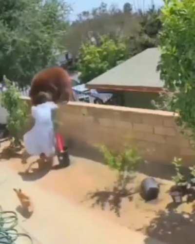 5 k abonede uğur abimin bahçesinde menemen yapmaya gelmişizdir uğur abimin verdiği tepki