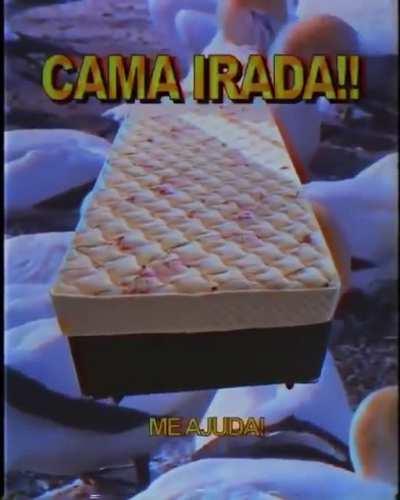 interessados, vem de DM