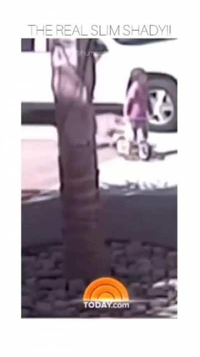 Someone said cats ain't loyal...