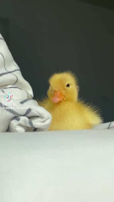 Good morning 🥰🥰