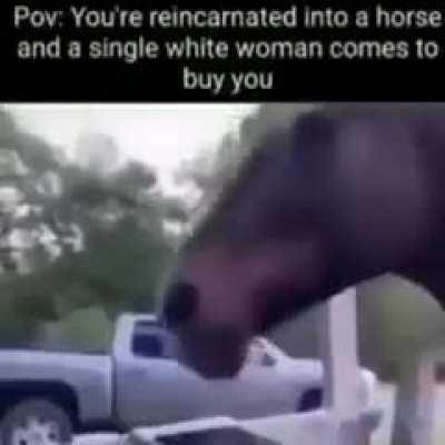 👩🐴