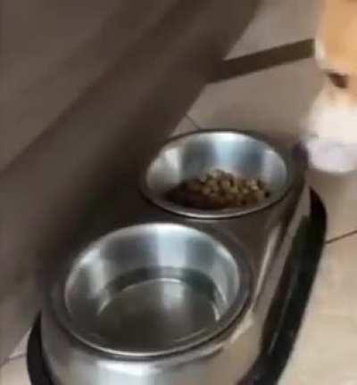 Warren Davis, is there nothing he cant do?