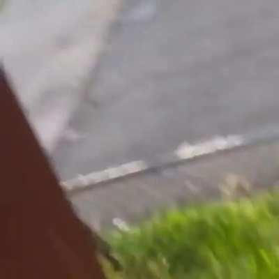 He came to the wrong neighborhood.