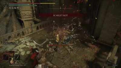 Tried to run to the Grace and was gracefully denied