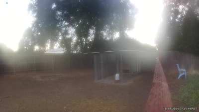 FFFRREEEEEDOOMMMMMM!!